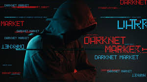 Top Darknet Marketplaces: Your Guide to Exploring the Hidden Web